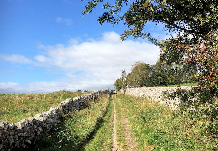 the way